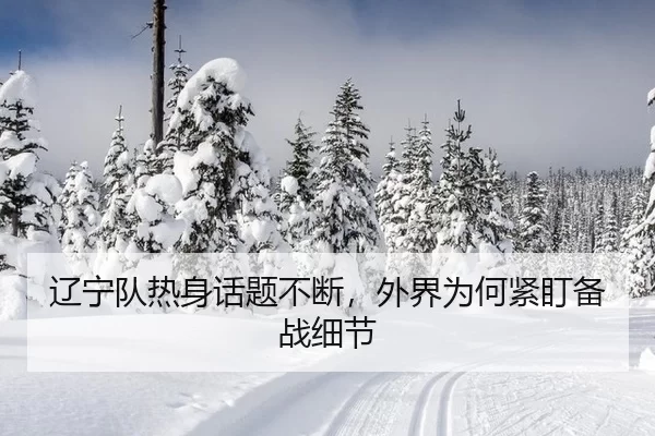 liao-ning-dui-re-shen-hua-ti-bu-duan-wai-jie-wei-he-jin-ding-bei-zhan-xi-jie-2-447.jpg